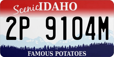 ID license plate 2P9104M
