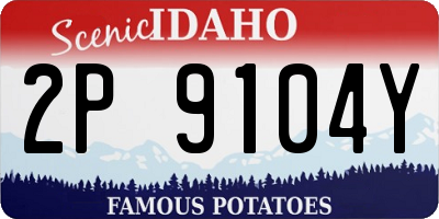 ID license plate 2P9104Y