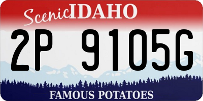 ID license plate 2P9105G