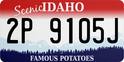 ID license plate 2P9105J