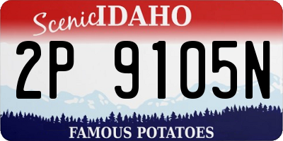 ID license plate 2P9105N