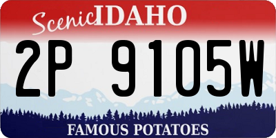ID license plate 2P9105W