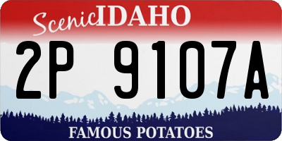 ID license plate 2P9107A