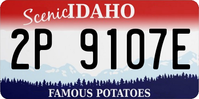 ID license plate 2P9107E