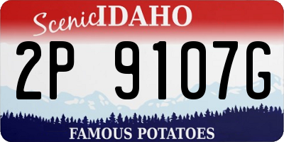 ID license plate 2P9107G
