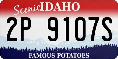ID license plate 2P9107S