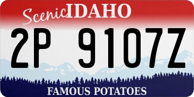 ID license plate 2P9107Z
