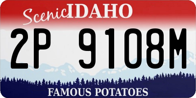 ID license plate 2P9108M
