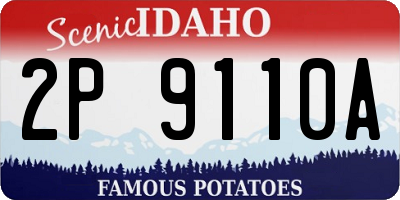 ID license plate 2P9110A