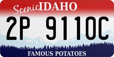 ID license plate 2P9110C