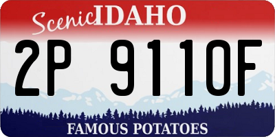 ID license plate 2P9110F