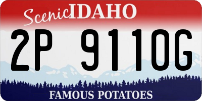 ID license plate 2P9110G