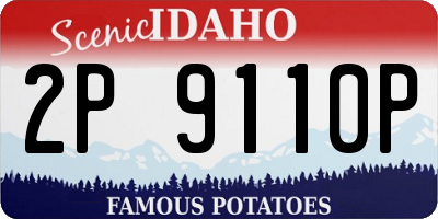 ID license plate 2P9110P