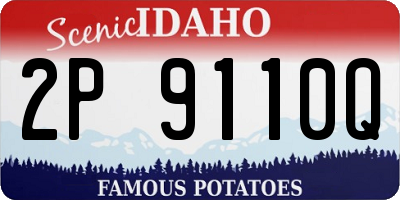 ID license plate 2P9110Q
