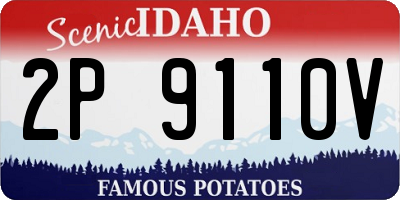 ID license plate 2P9110V