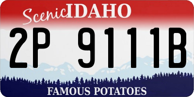 ID license plate 2P9111B