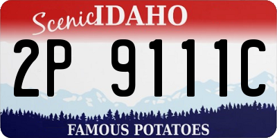 ID license plate 2P9111C
