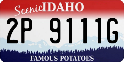 ID license plate 2P9111G