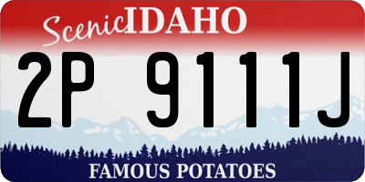 ID license plate 2P9111J