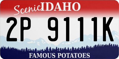 ID license plate 2P9111K