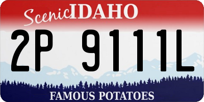 ID license plate 2P9111L