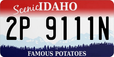 ID license plate 2P9111N