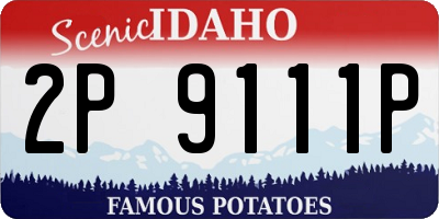 ID license plate 2P9111P