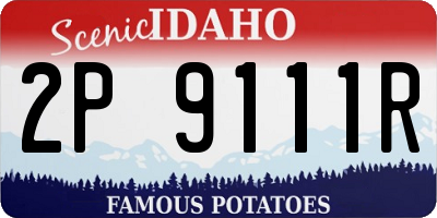 ID license plate 2P9111R
