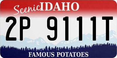 ID license plate 2P9111T
