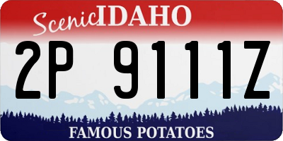 ID license plate 2P9111Z