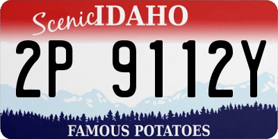 ID license plate 2P9112Y