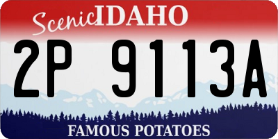 ID license plate 2P9113A