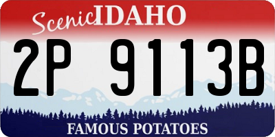 ID license plate 2P9113B