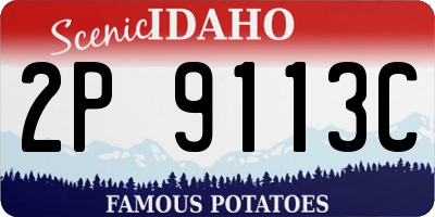ID license plate 2P9113C