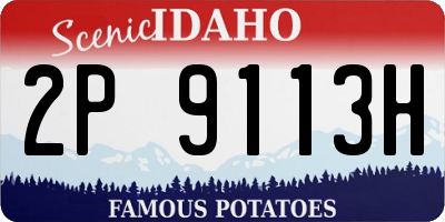 ID license plate 2P9113H