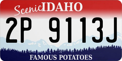 ID license plate 2P9113J