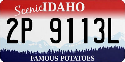 ID license plate 2P9113L