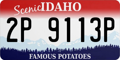 ID license plate 2P9113P