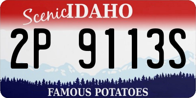 ID license plate 2P9113S