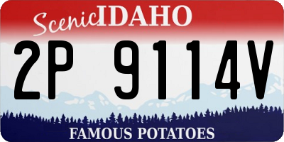 ID license plate 2P9114V