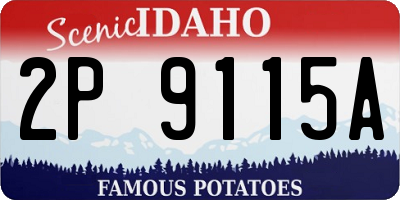 ID license plate 2P9115A