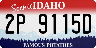 ID license plate 2P9115D