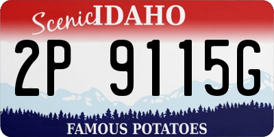 ID license plate 2P9115G
