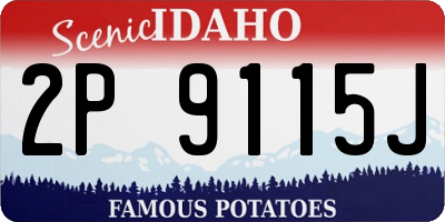 ID license plate 2P9115J