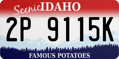 ID license plate 2P9115K