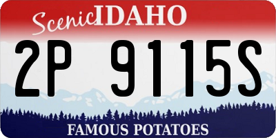 ID license plate 2P9115S
