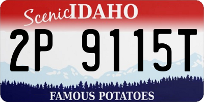 ID license plate 2P9115T