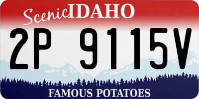 ID license plate 2P9115V