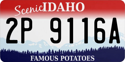 ID license plate 2P9116A