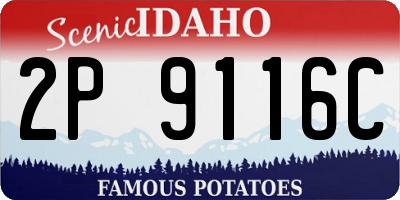 ID license plate 2P9116C